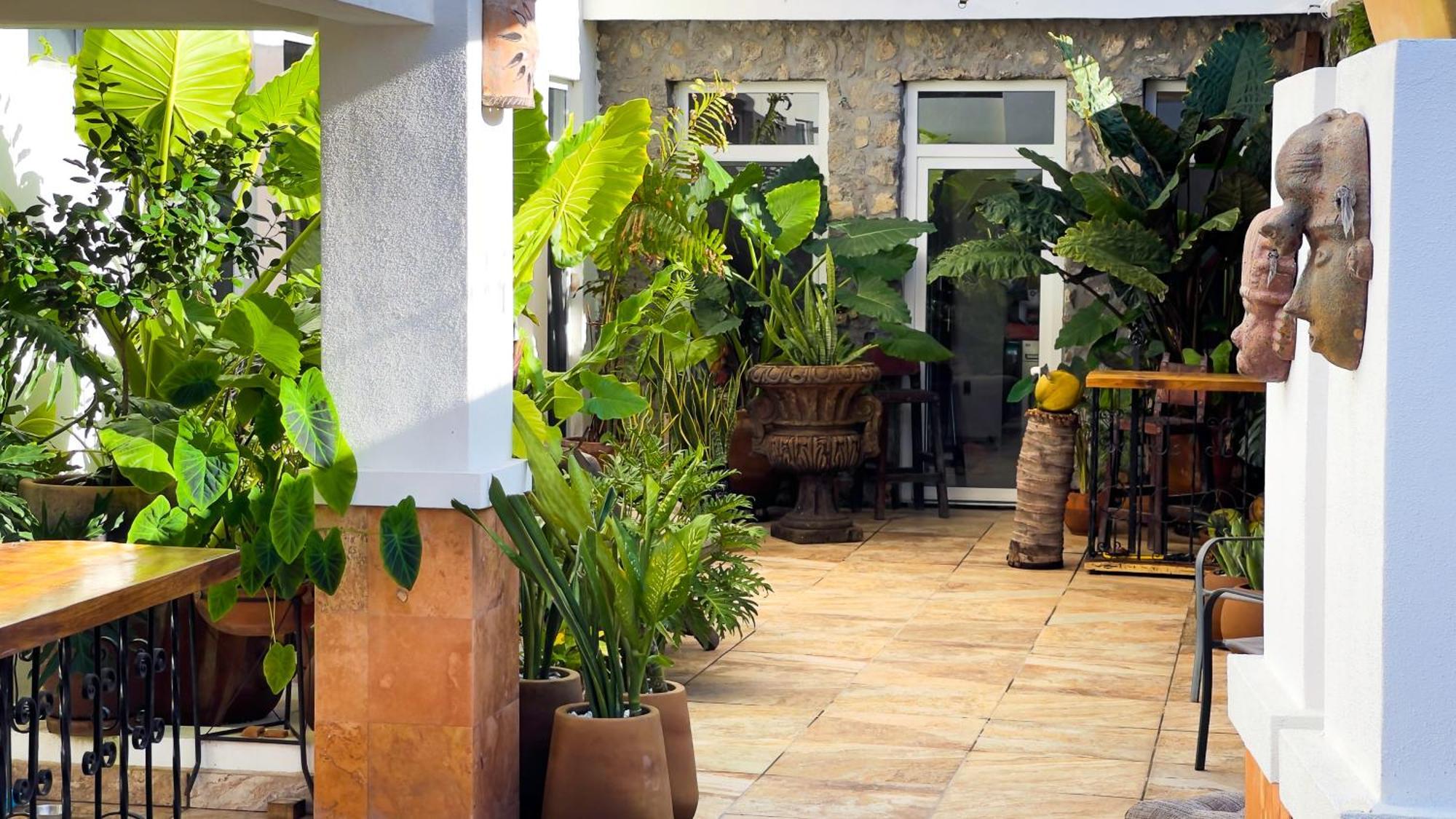 Quinta Alberto Boutique Hotel Сан-Блас Екстер'єр фото